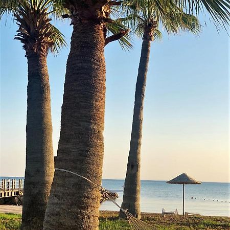 Relaxing Penthouse Suites By The Sea Vokolidha エクステリア 写真