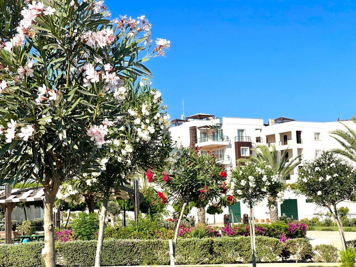 Relaxing Penthouse Suites By The Sea Vokolidha エクステリア 写真