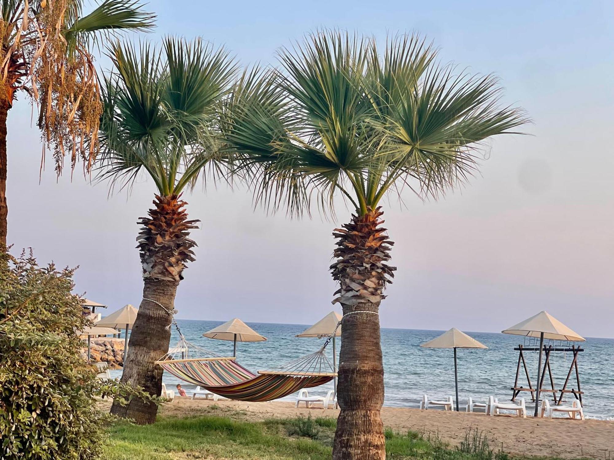 Relaxing Penthouse Suites By The Sea Vokolidha エクステリア 写真